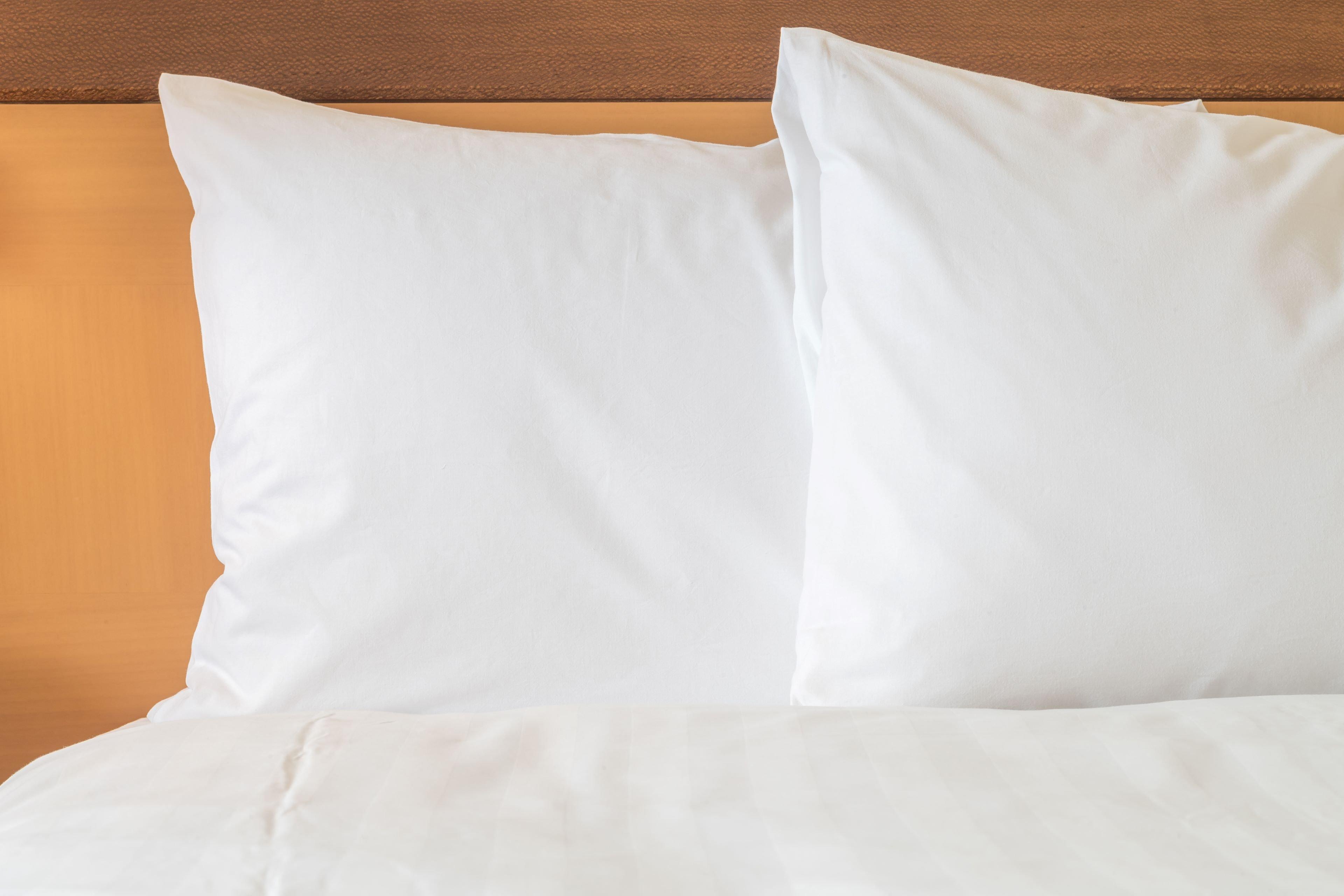 Holiday Inn Express Hotel & Suites Ashland By Ihg Esterno foto